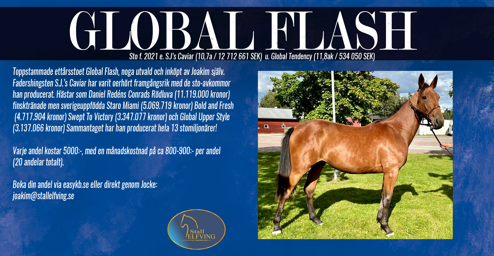 annons_global_flash2